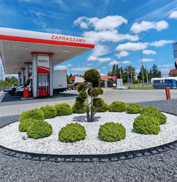 dabrowa-tarnowska-1 dabrowa-tarnowska-1